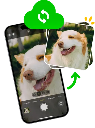 Background sync on Ente Photos