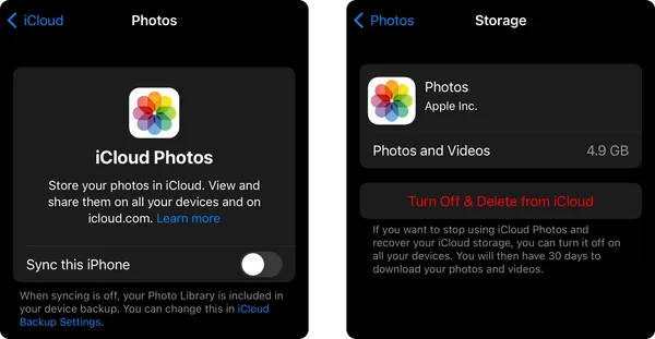Disabling iCloud photo backups