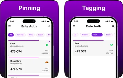 Screenshot of Pinning and Tagging features within Auth