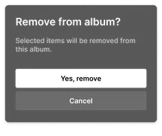 Prompt when only removal from album would occur