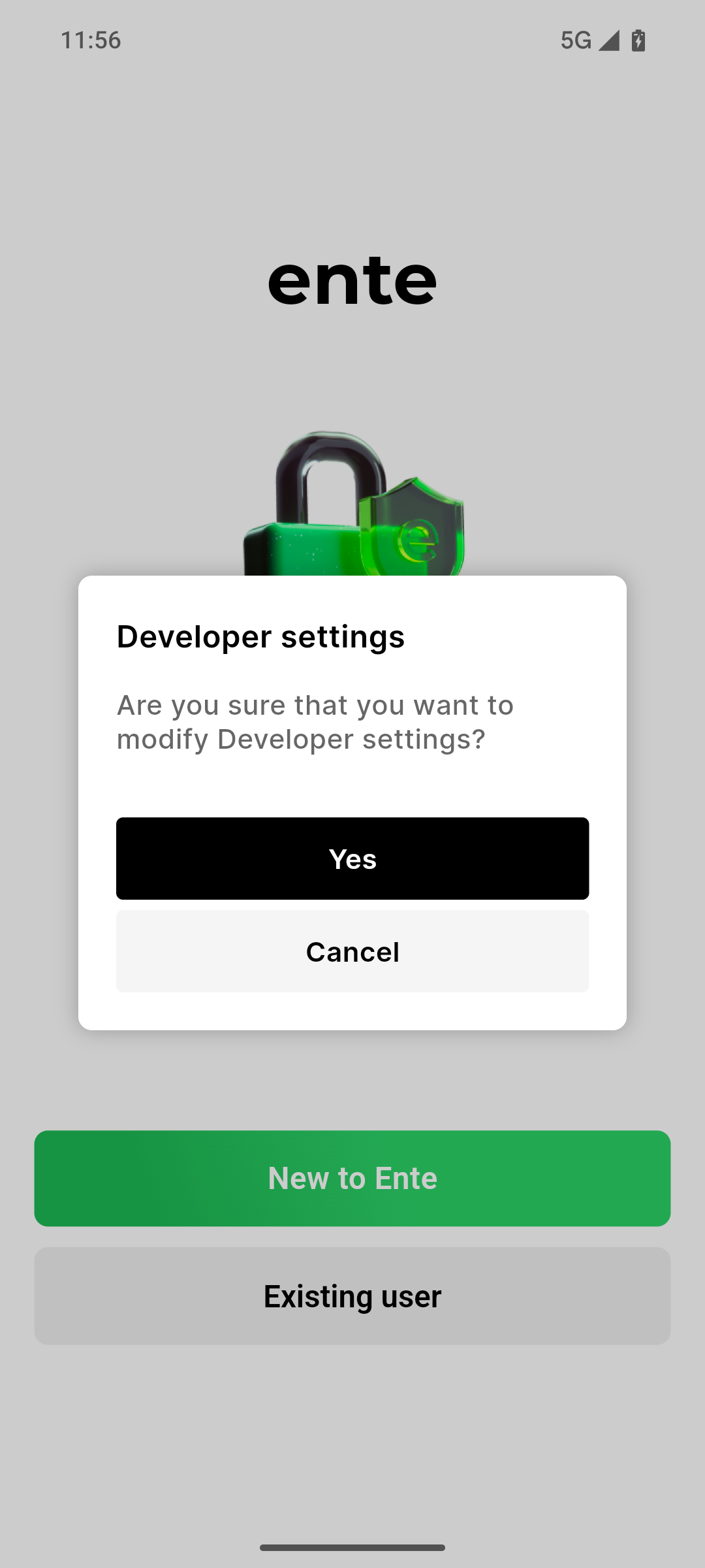 Developer Settings