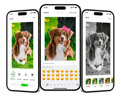 Advanced image editor on Ente Photos Advanced image editor on Ente Photos