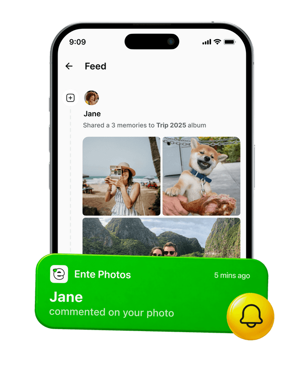 A space to see what your friends and family are up to